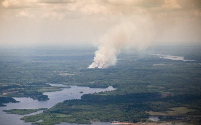 Watching their home go up in smoke: the indigenous of the Amazon ( Environment Policy Brief #187)