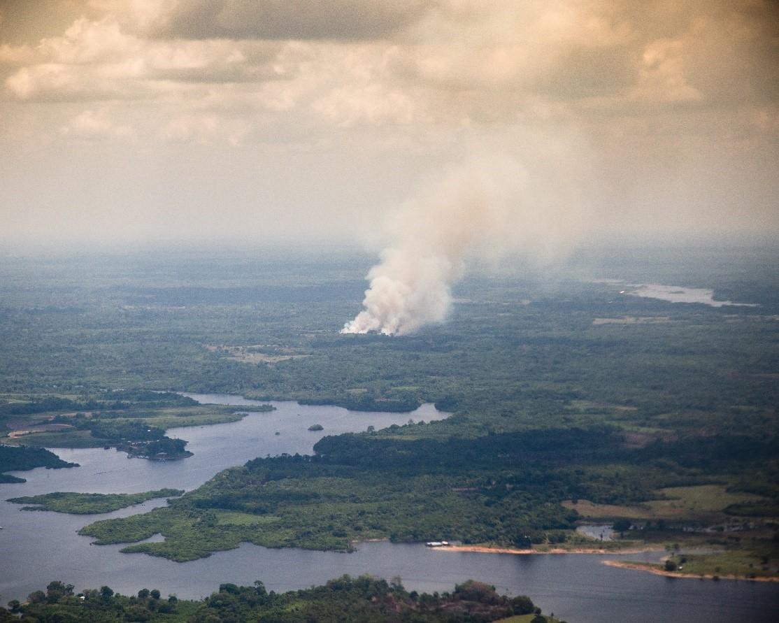 Watching their home go up in smoke: the indigenous of the Amazon ( Environment Policy Brief #187)
