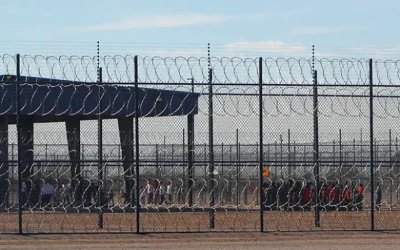 The Expanding Web: ICE Detention and the Machinery of Mass Removal (Social Justice Policy Brief #188)