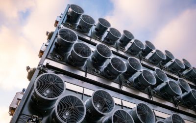 The First Global Rules for Carbon Removal Credits Are Being Written Right Now (Environment Policy Brief #191)