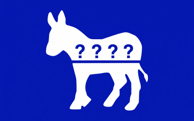 Issues Affecting Democrat Messaging in the Upcoming Midterm Elections (Elections and Politics Brief #204)