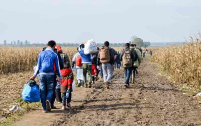 Unmasking the Realities of Climate-Driven Migration (Environment Policy Brief #165)