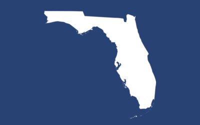 Florida (2026 Democratic Primary Preview Series #28)