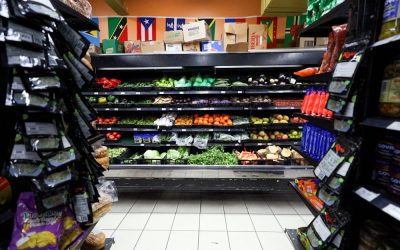 Trump’s Big Beautiful Bill Leaves Millions Without Groceries (Economic Policy Brief #93)
