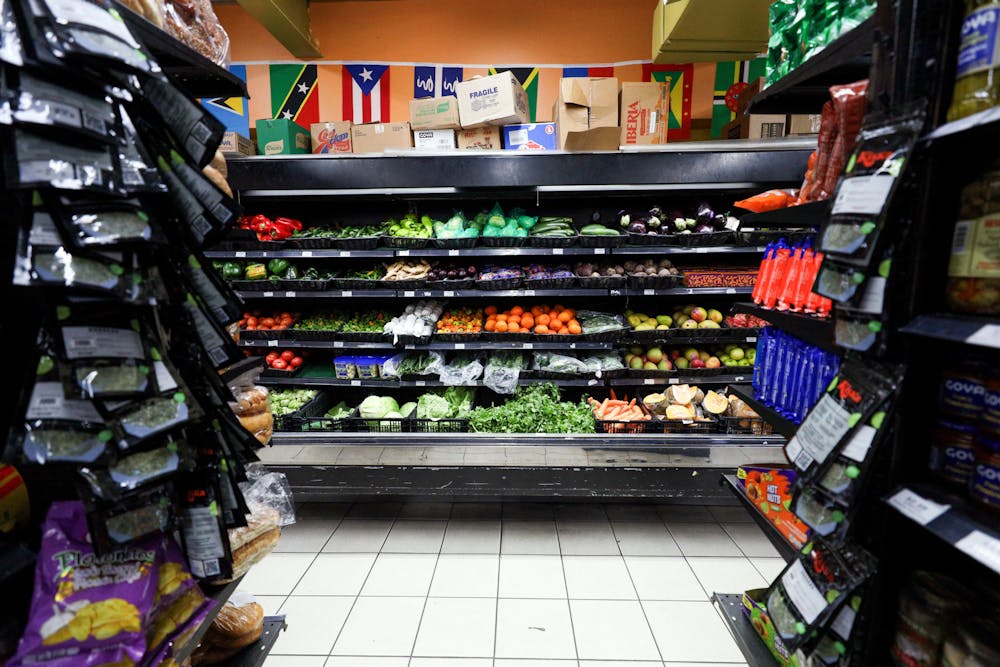 Trump’s Big Beautiful Bill Leaves Millions Without Groceries (Economic Policy Brief #93)