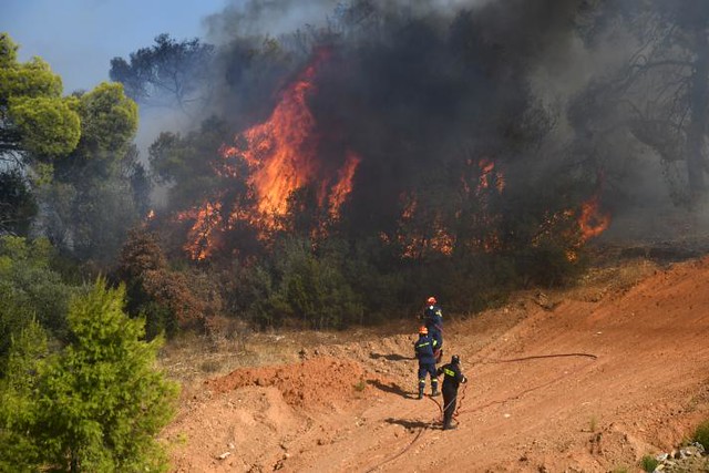 The Summer of Wildfires (Part 2: Europe) (Environmental Policy Brief #169)