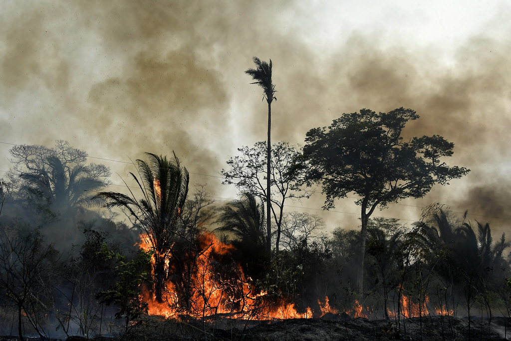 Europe Is Getting Hotter Part 2 of 2 – Summer Wildfire Spread Across France and Spain (Environment Policy Brief #169)