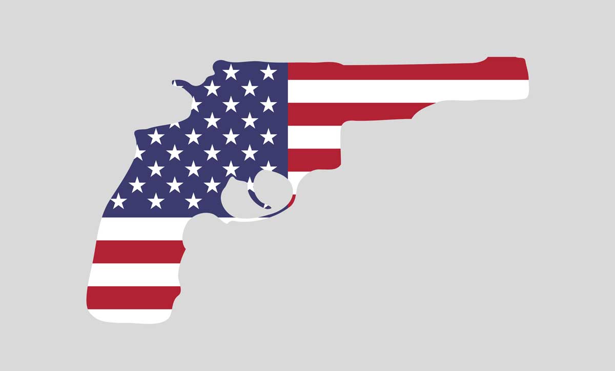 Guns In America Part 1: Who Owns Them? (Social Justice Policy Brief #194)